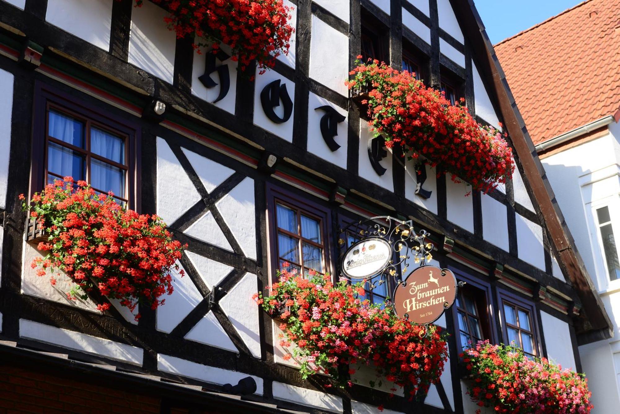 Zum Braunen Hirschen